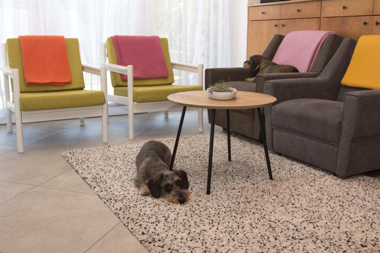 Dioliget Apartment Ohid Екстериор снимка