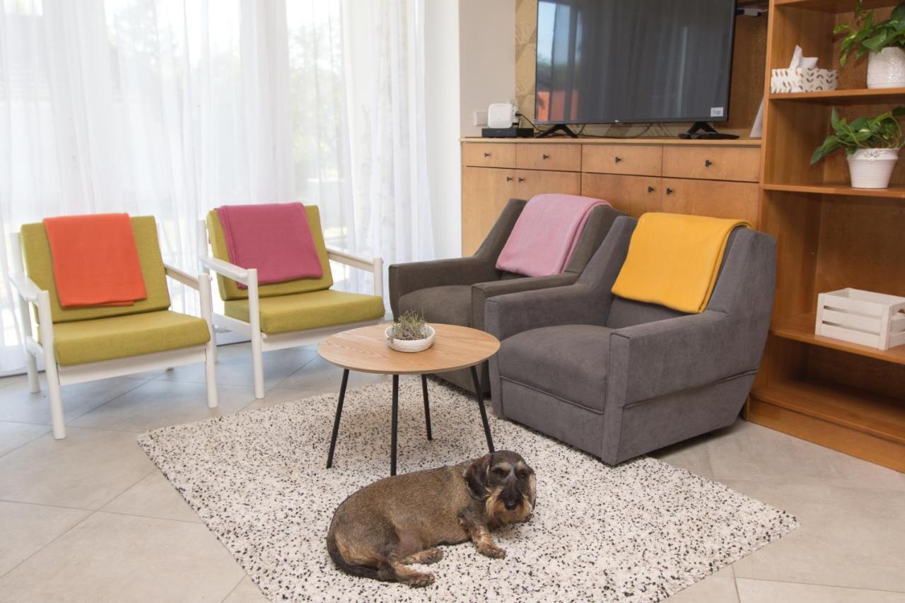 Dioliget Apartment Ohid Екстериор снимка